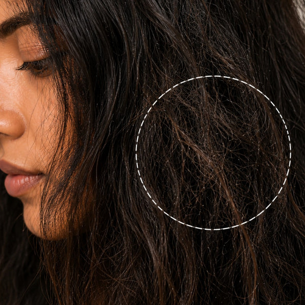Extreme Frizz & Hair Damage